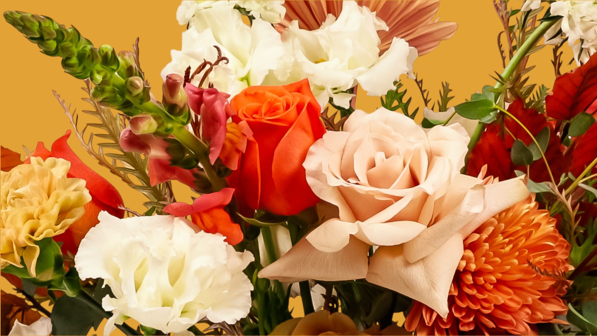 Order Fresh Florals online from San Diego's Premier Florist, Green Fresh Florals + Plants