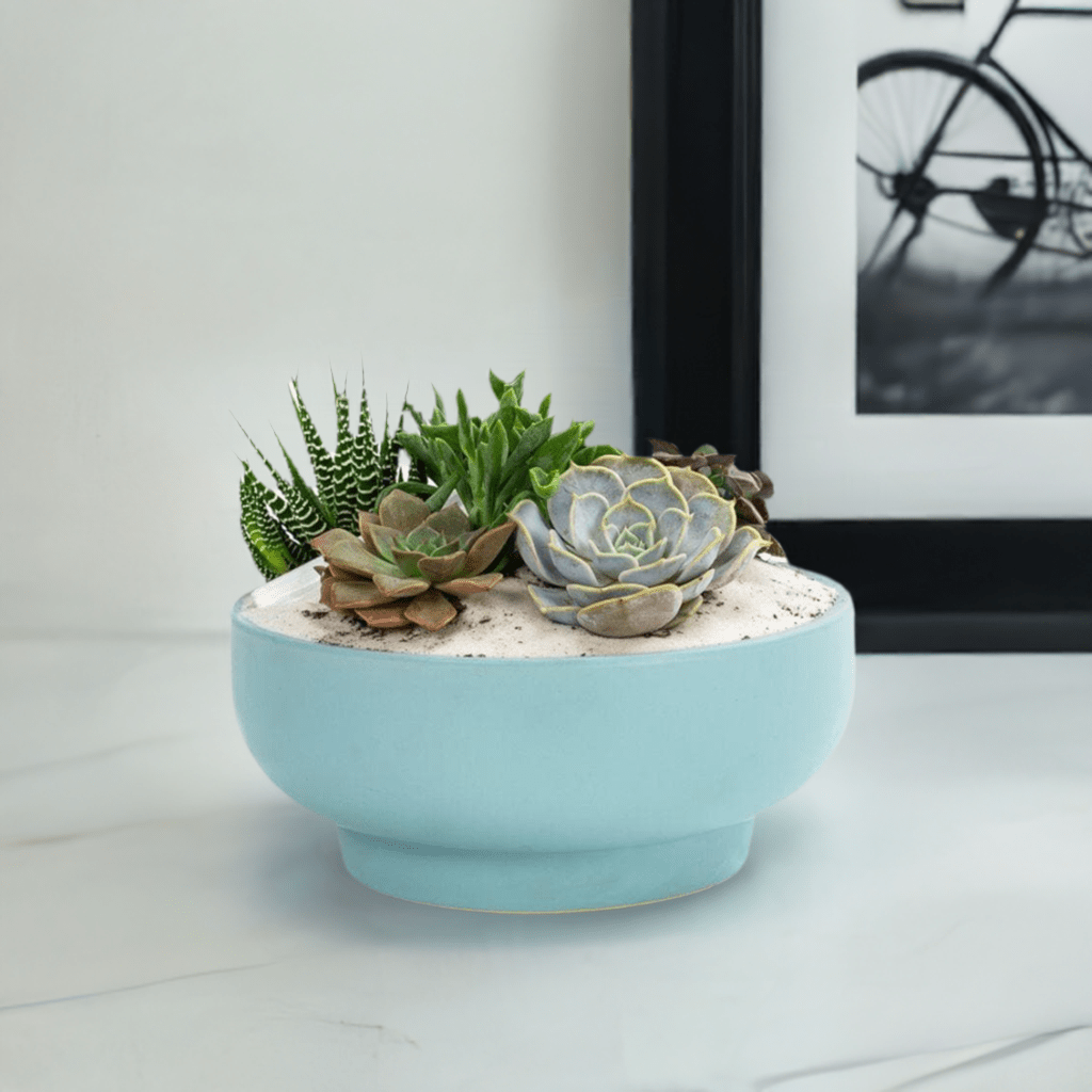 Air Blue Crystal Succulent Garden - Green Fresh Florals + Plants