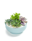 Air Blue Crystal Succulent Garden - Green Fresh Florals + Plants