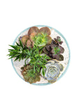 Air Blue Crystal Succulent Garden - Green Fresh Florals + Plants