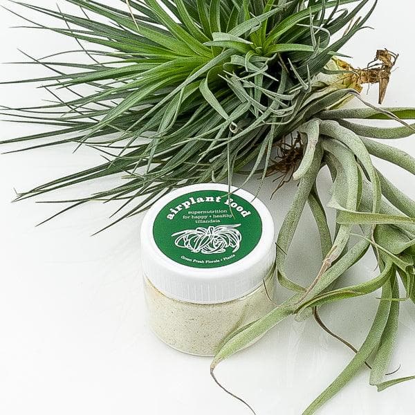 Air Plant Food - Green Fresh Florals + Plants