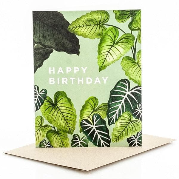 Alocasia Happy Birthday Card - Green Fresh Florals + Plants