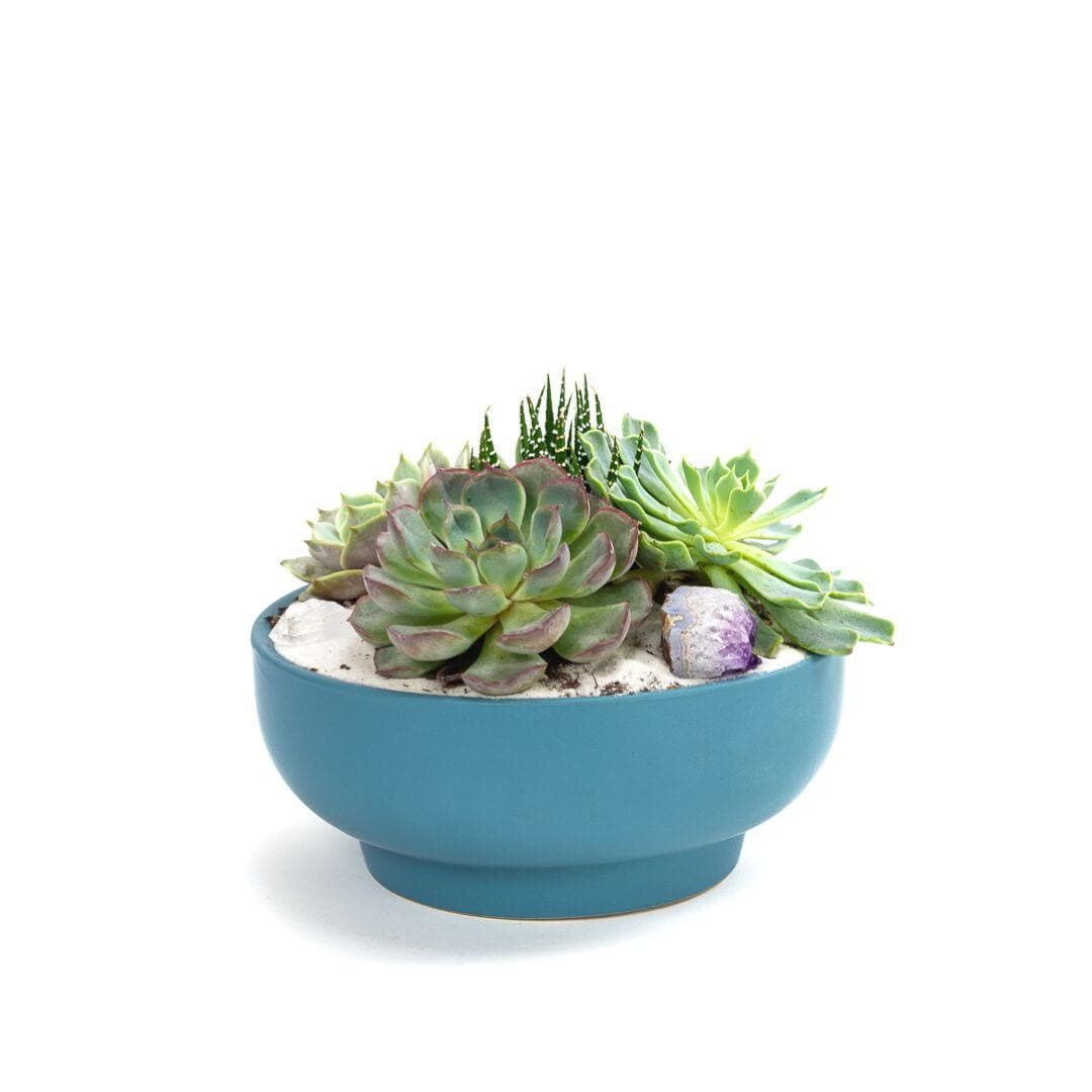 Antique Teal Crystal Succulent Garden - Green Fresh Florals + Plants