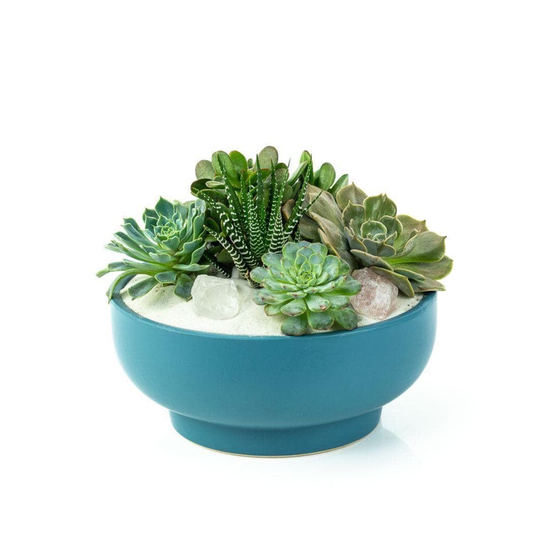 Antique Teal Crystal Succulent Garden - Green Fresh Florals + Plants