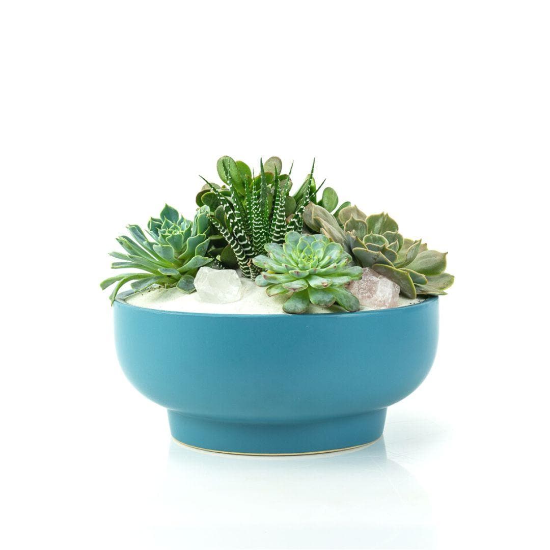 Antique Teal Crystal Succulent Garden - Green Fresh Florals + Plants