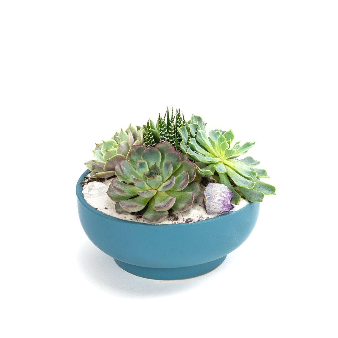 Antique Teal Crystal Succulent Garden - Green Fresh Florals + Plants