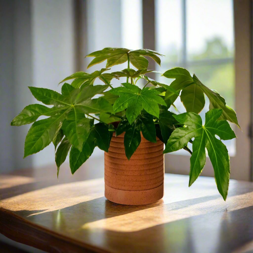 Bardo Pot with Saucer - Green Fresh Florals + Plants