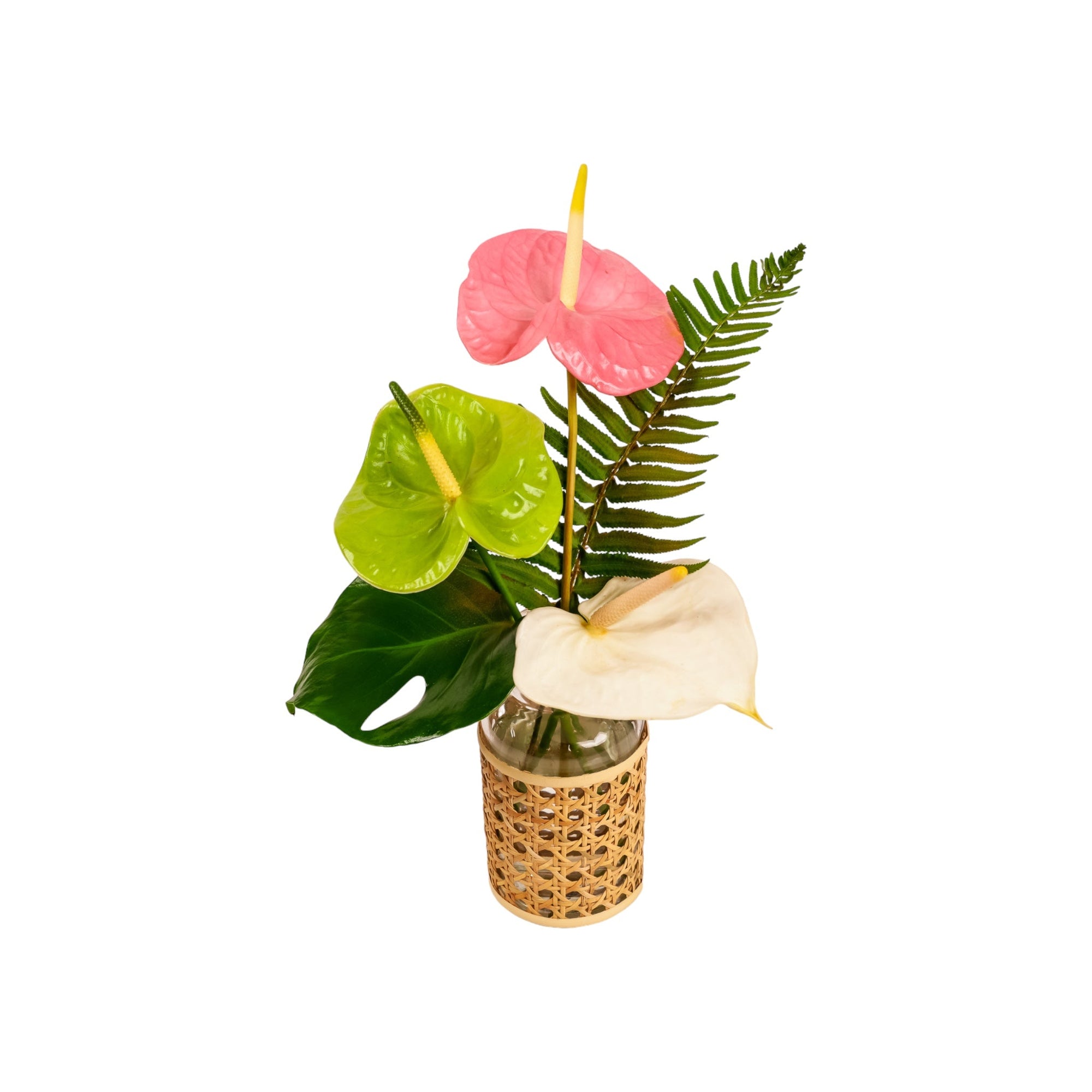 Bit O' Paradise - Green Fresh Florals + Plants