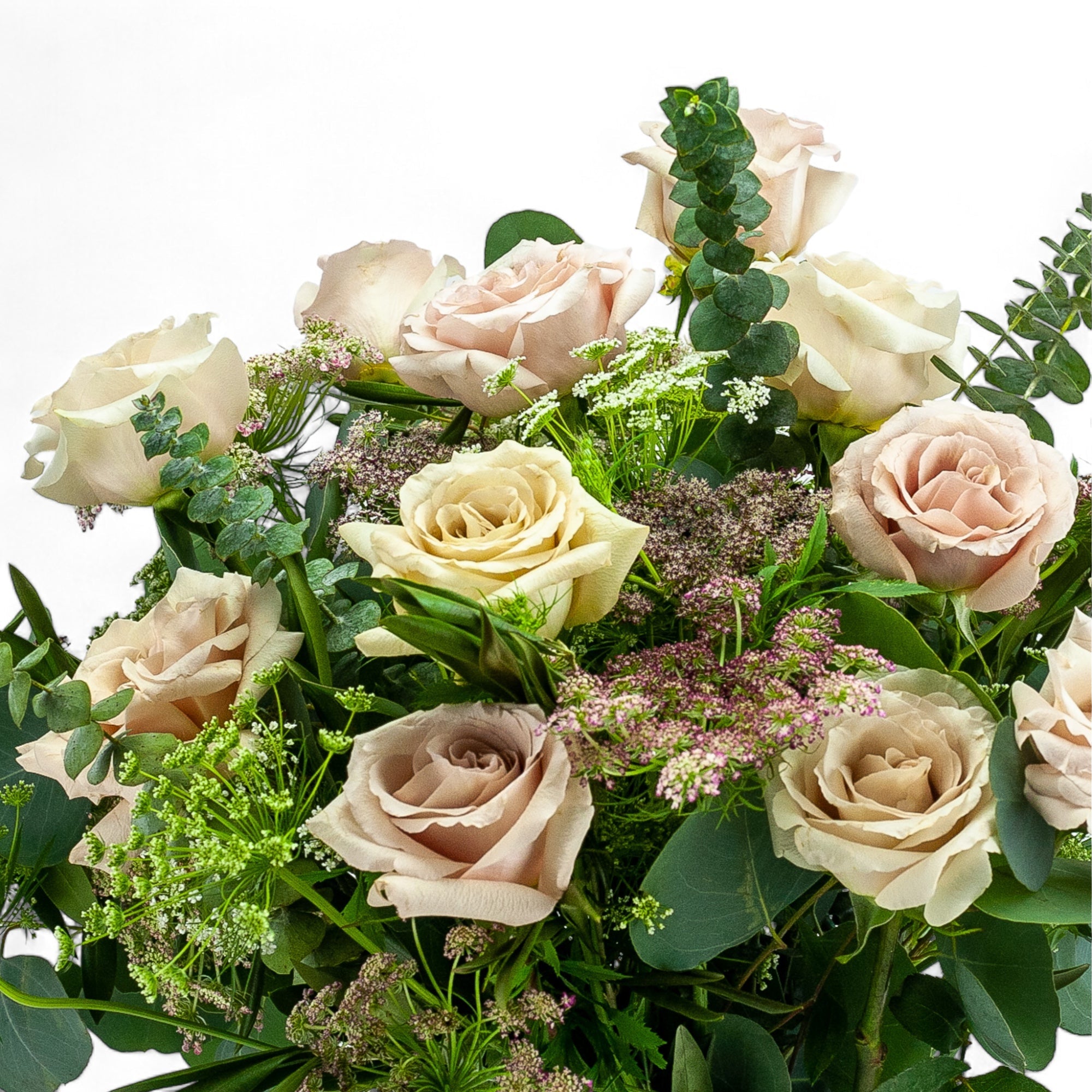 Blush Long - Stem Roses - Green Fresh Florals + Plants