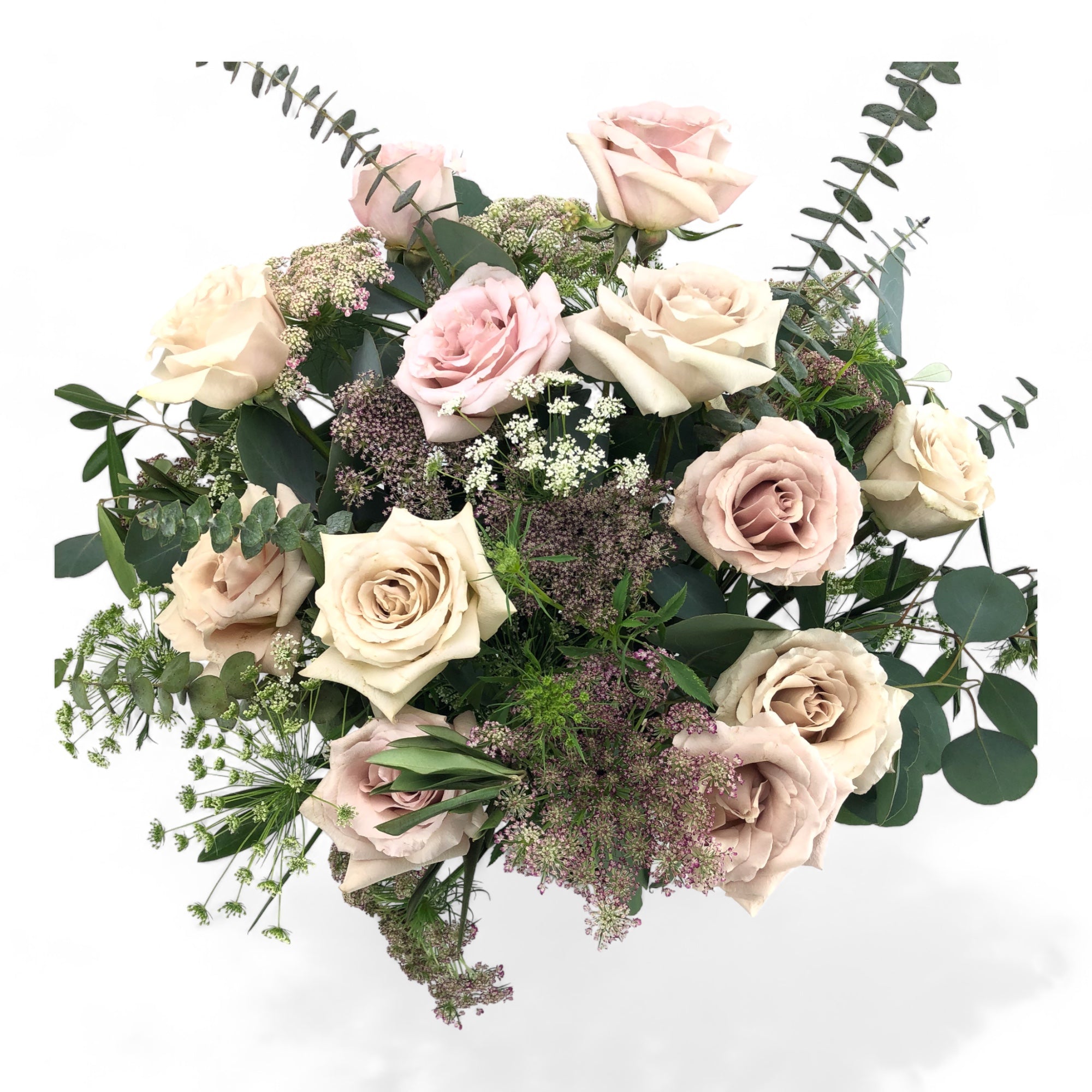 Blush Long - Stem Roses - Green Fresh Florals + Plants