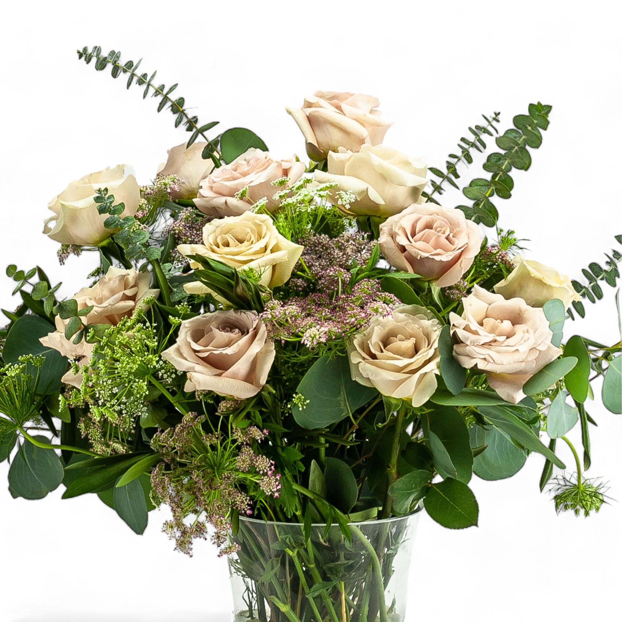 Blush Long - Stem Roses - Green Fresh Florals + Plants