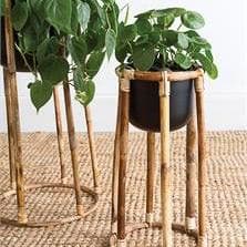 Boca Plant Stand - Green Fresh Florals + Plants