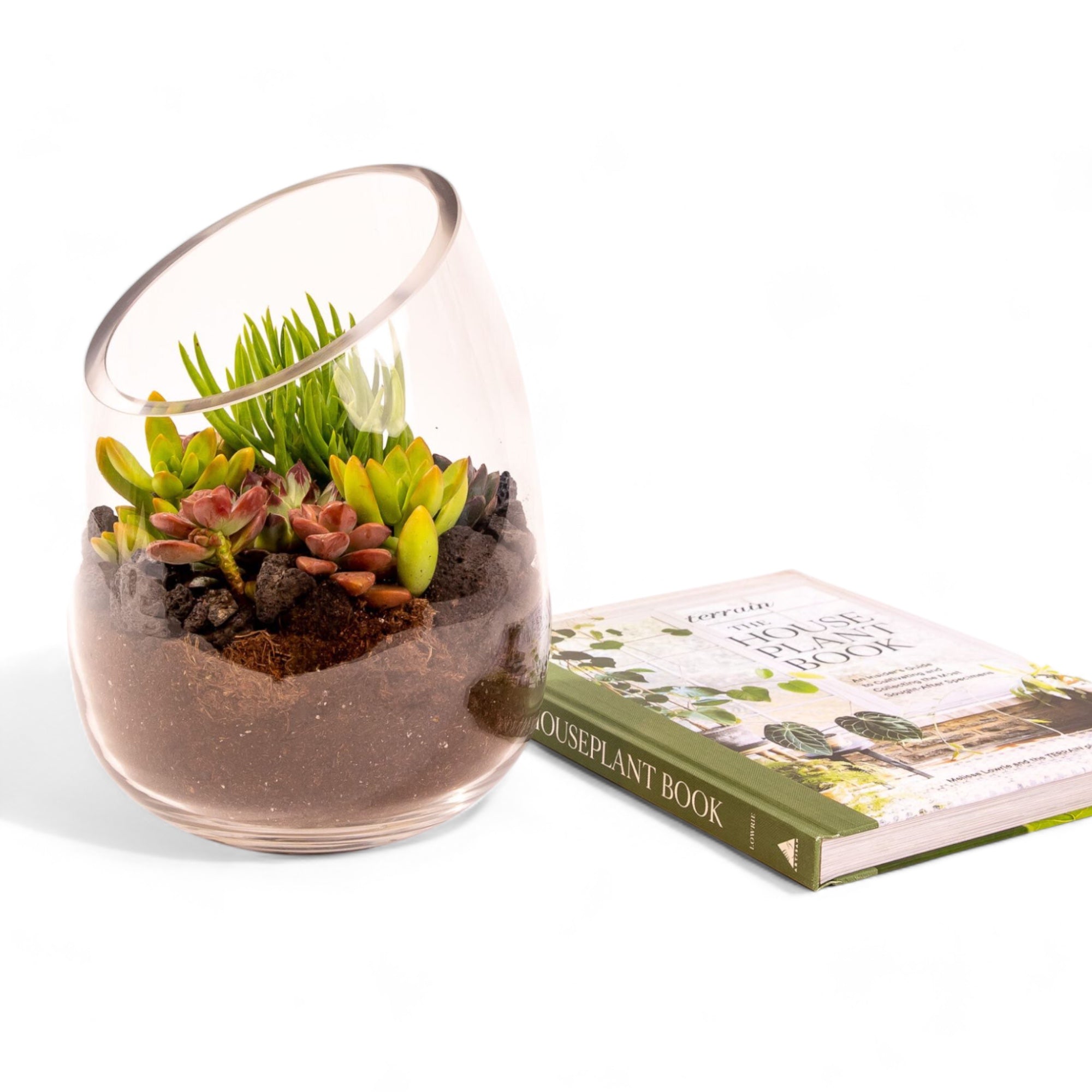 Bullet Vase Succulent Terrarium - Green Fresh Florals + Plants