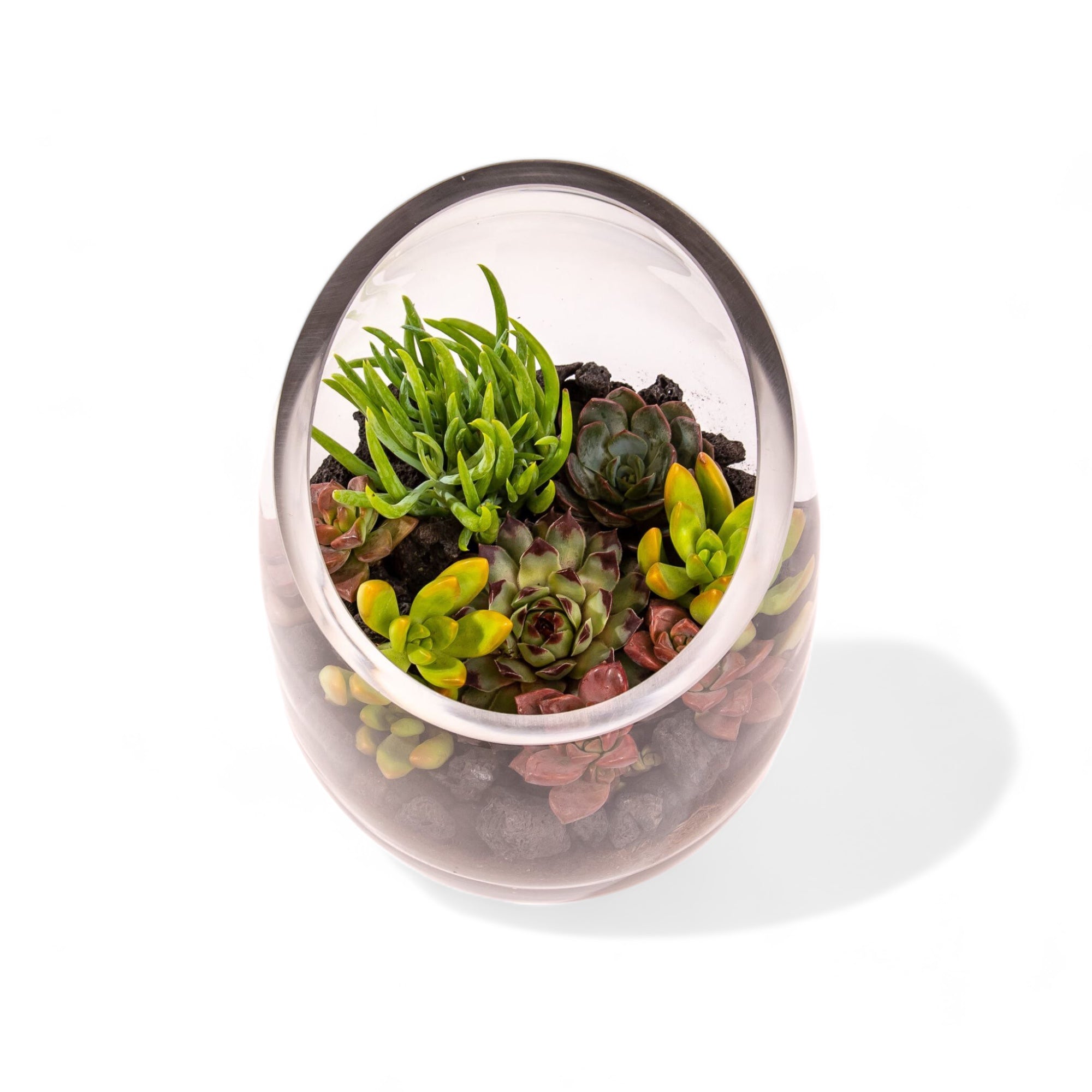 Bullet Vase Succulent Terrarium - Green Fresh Florals + Plants