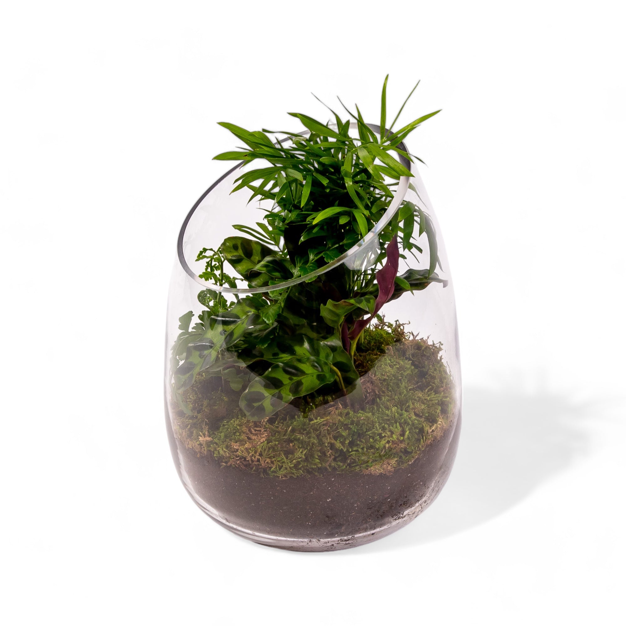 Bullet Vase Terrarium - Green Fresh Florals + Plants