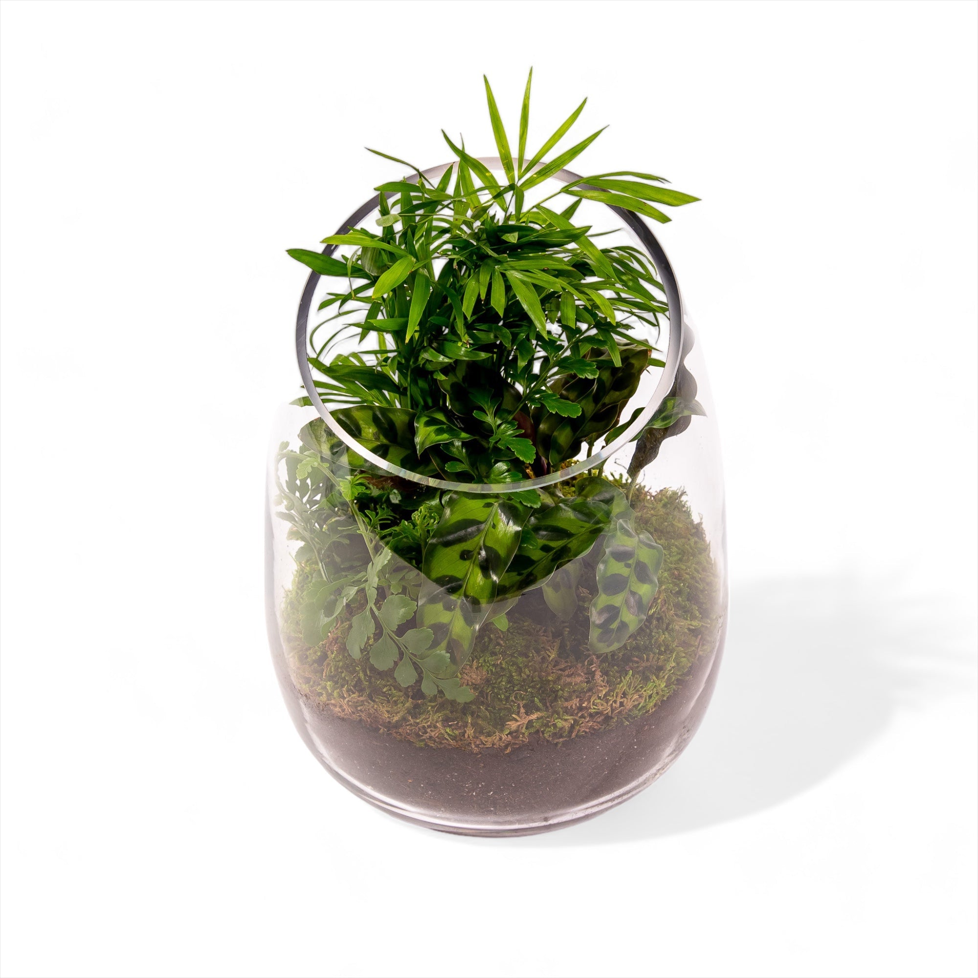 Bullet Vase Terrarium - Green Fresh Florals + Plants