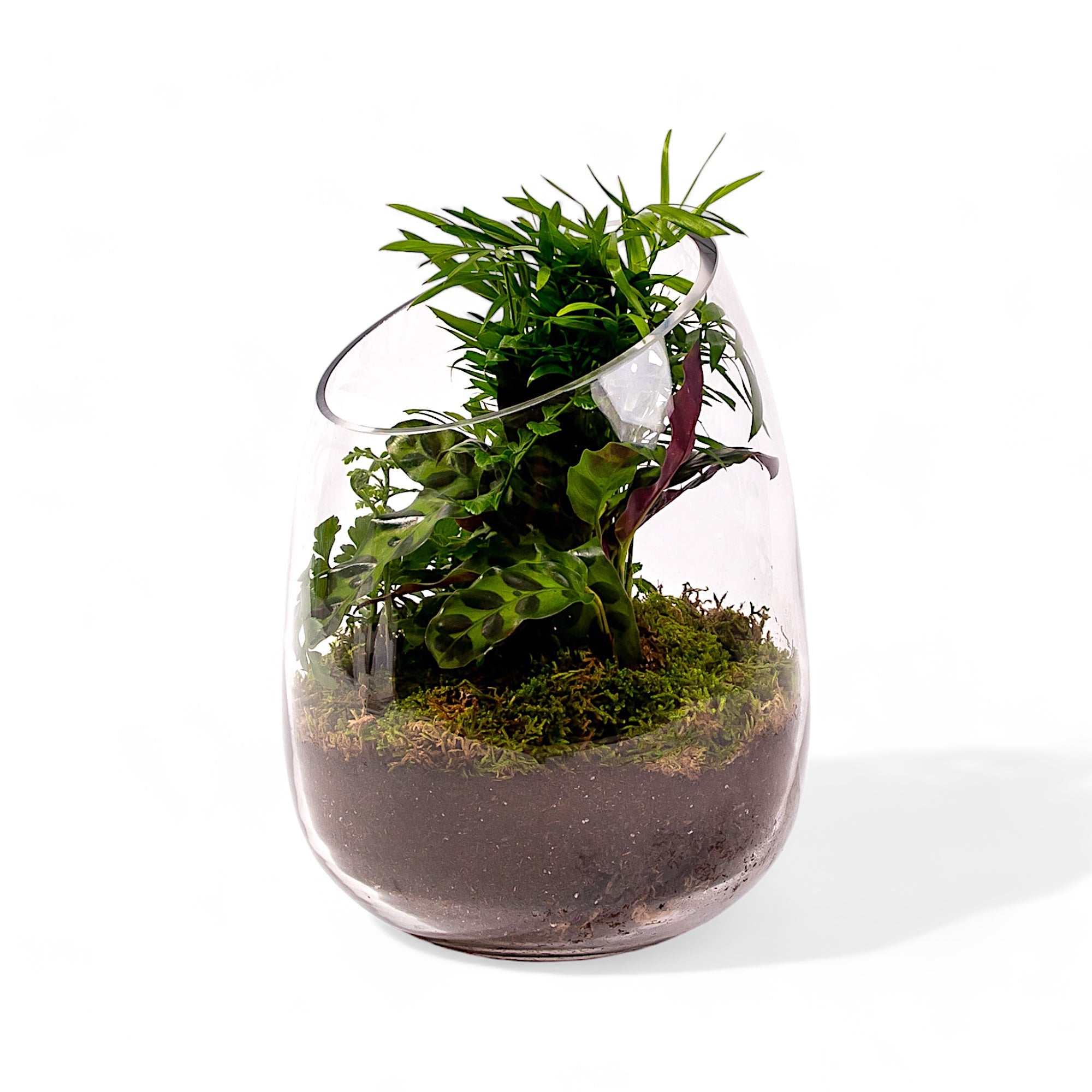 Bullet Vase Terrarium - Green Fresh Florals + Plants