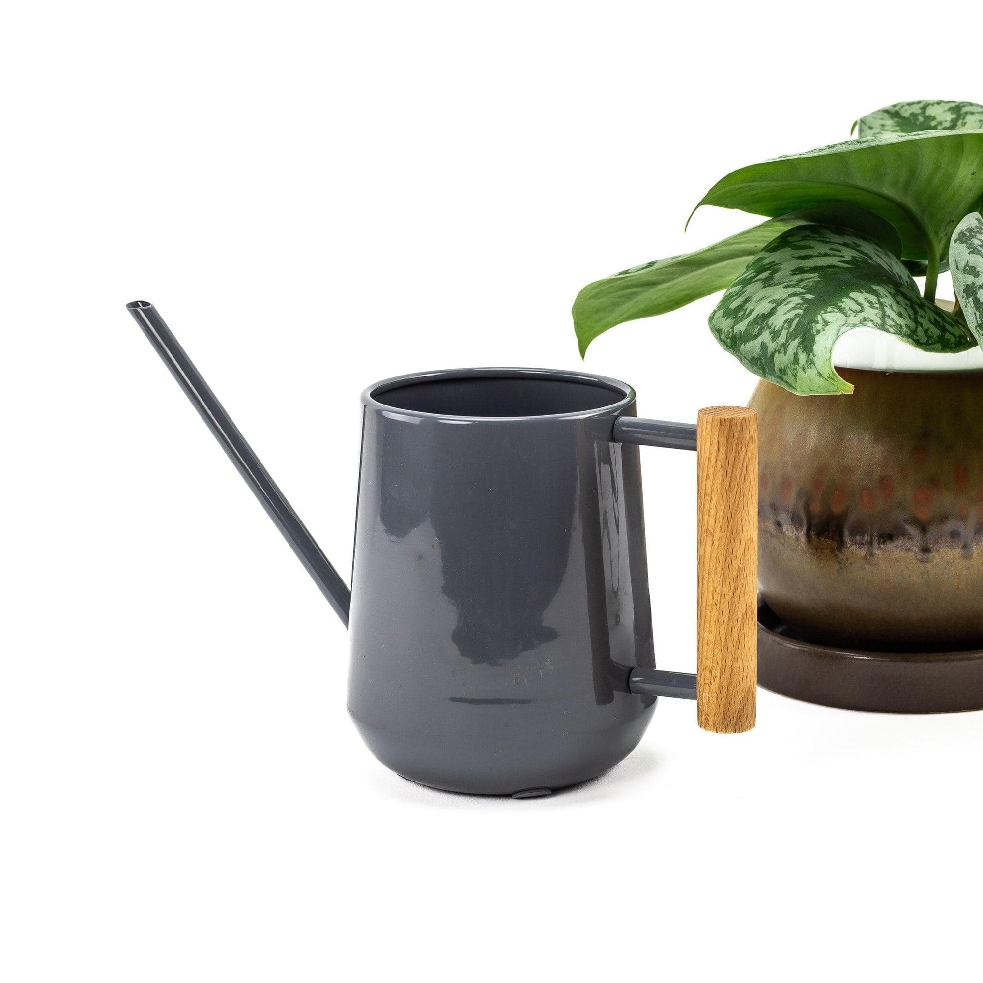 Burgon & Ball Watering Can - Green Fresh Florals + Plants