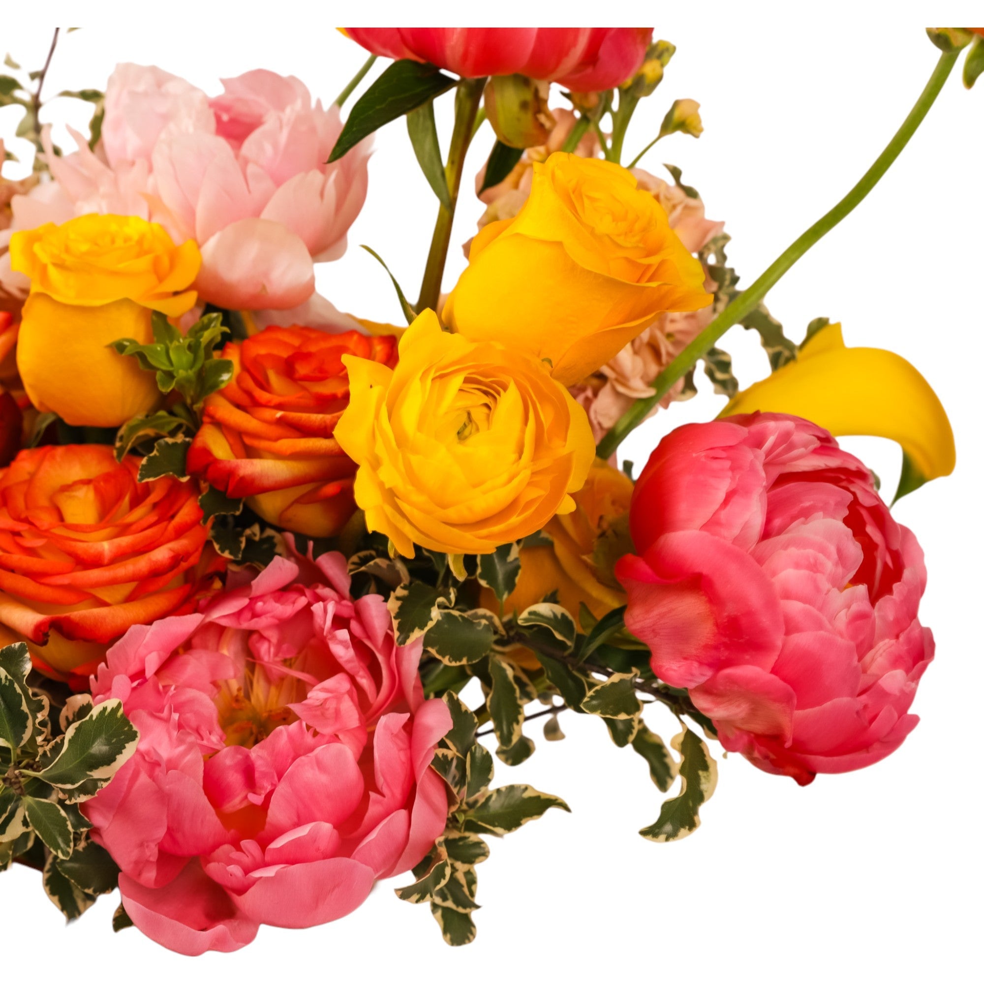 Citrus Bellini Designer Floral - Green Fresh Florals + Plants