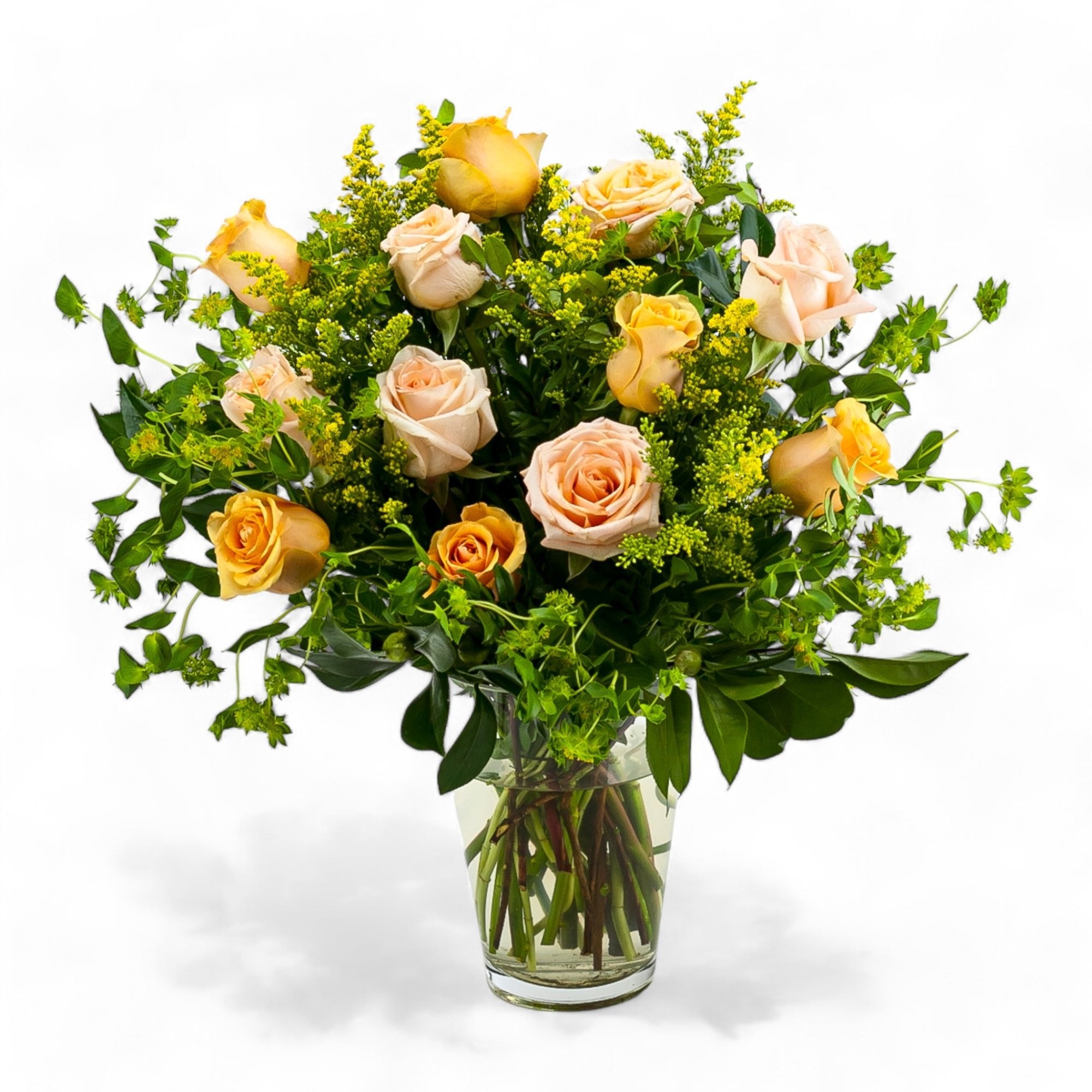 Coral Long - Stem Roses - Green Fresh Florals + Plants