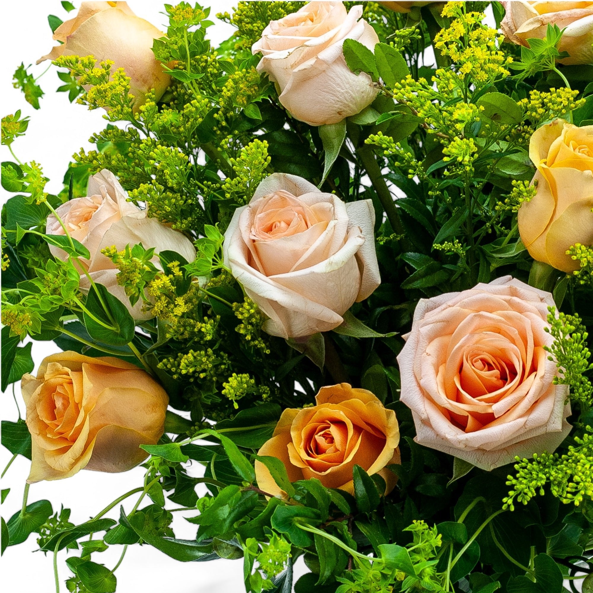 Coral Long - Stem Roses - Green Fresh Florals + Plants