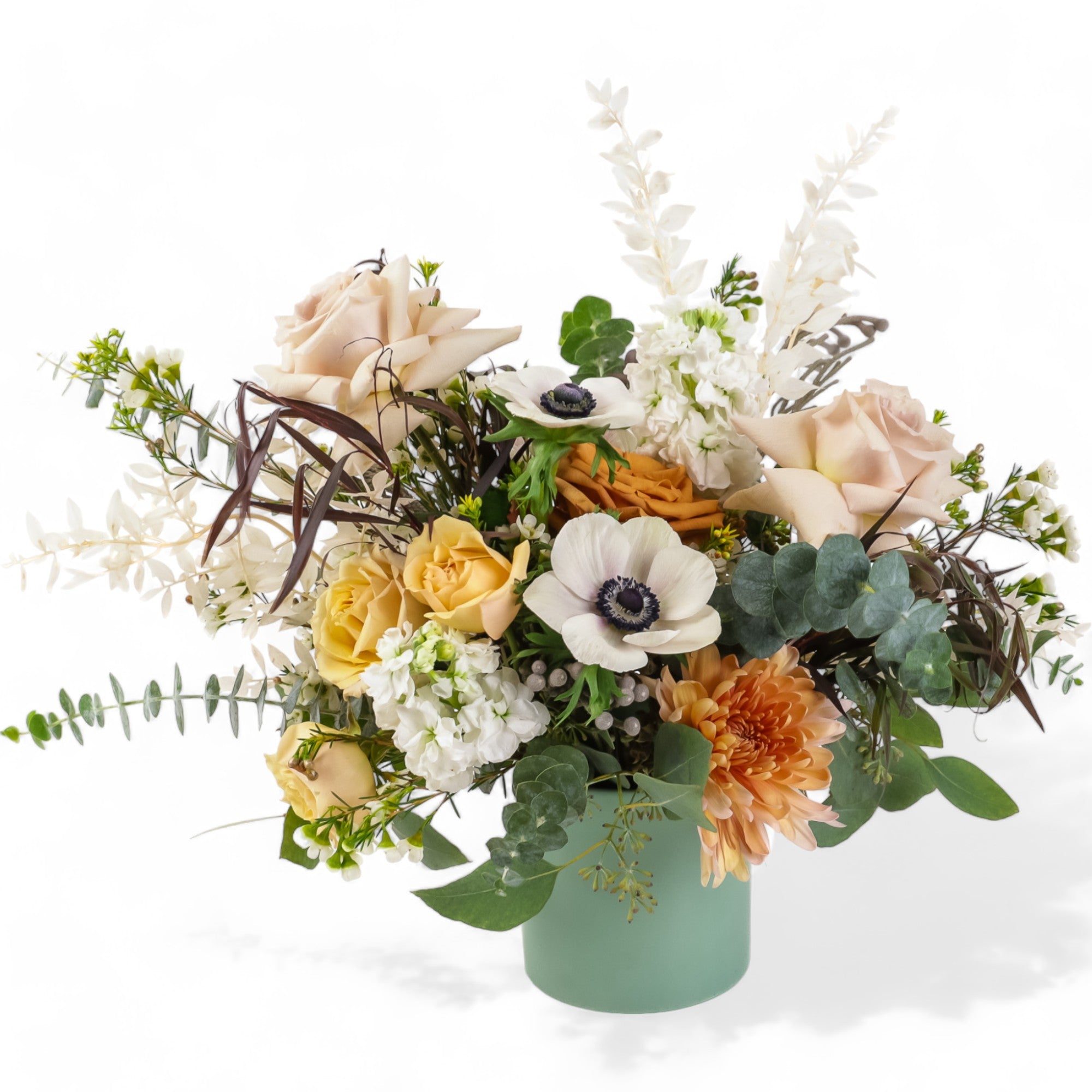 Cream &amp; Sugar Floral - Green Fresh Florals + Plants