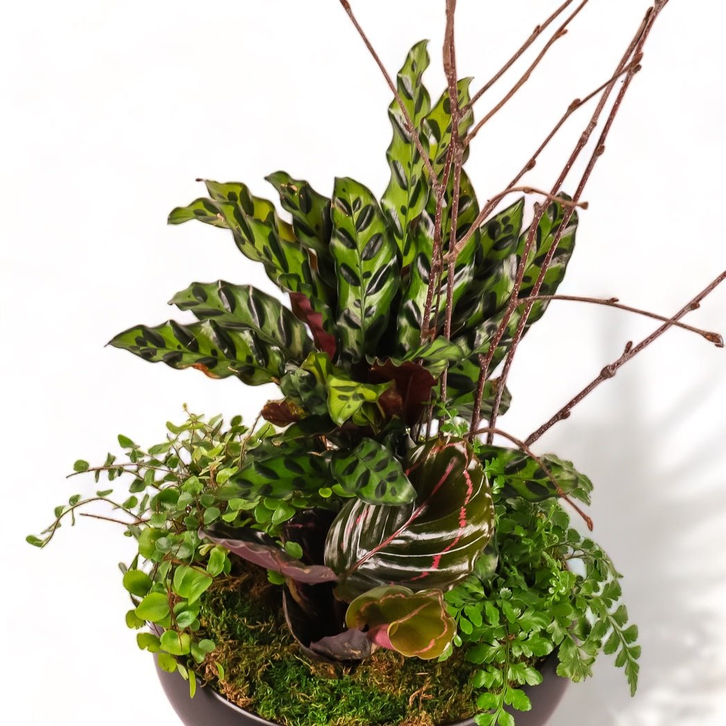 Dark Forest Planting - Green Fresh Florals + Plants