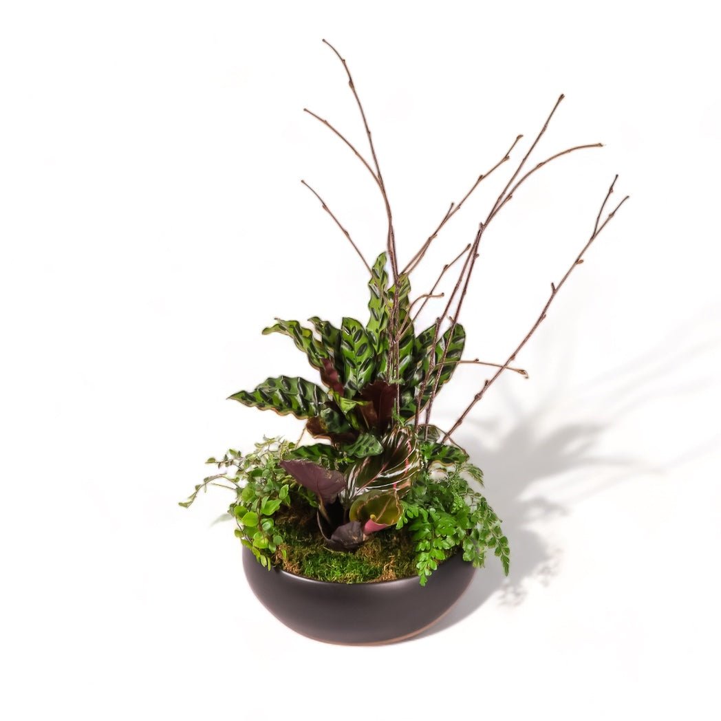 Dark Forest Planting - Green Fresh Florals + Plants