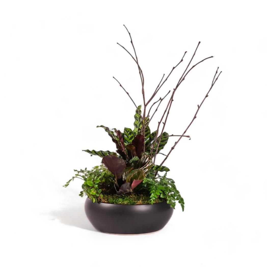 Dark Forest Planting - Green Fresh Florals + Plants