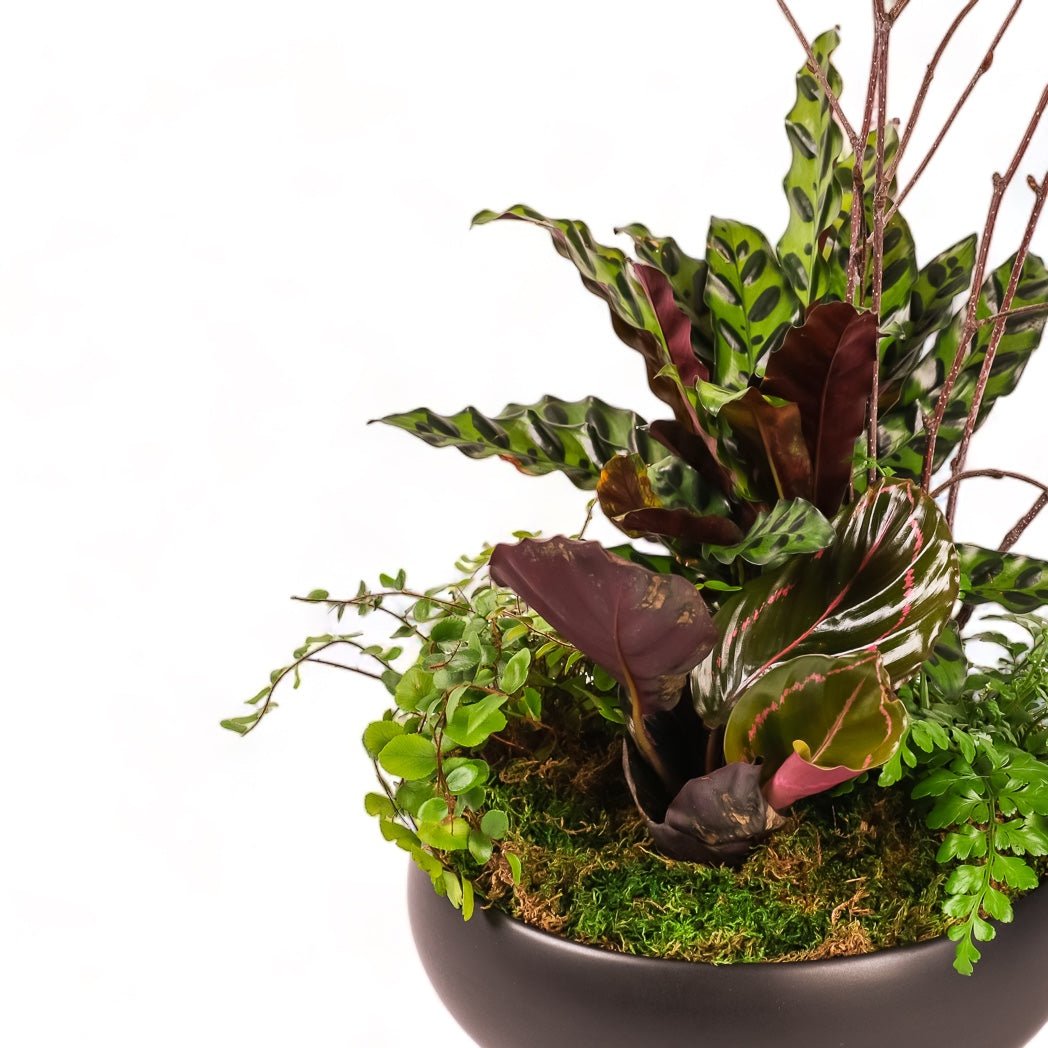 Dark Forest Planting - Green Fresh Florals + Plants