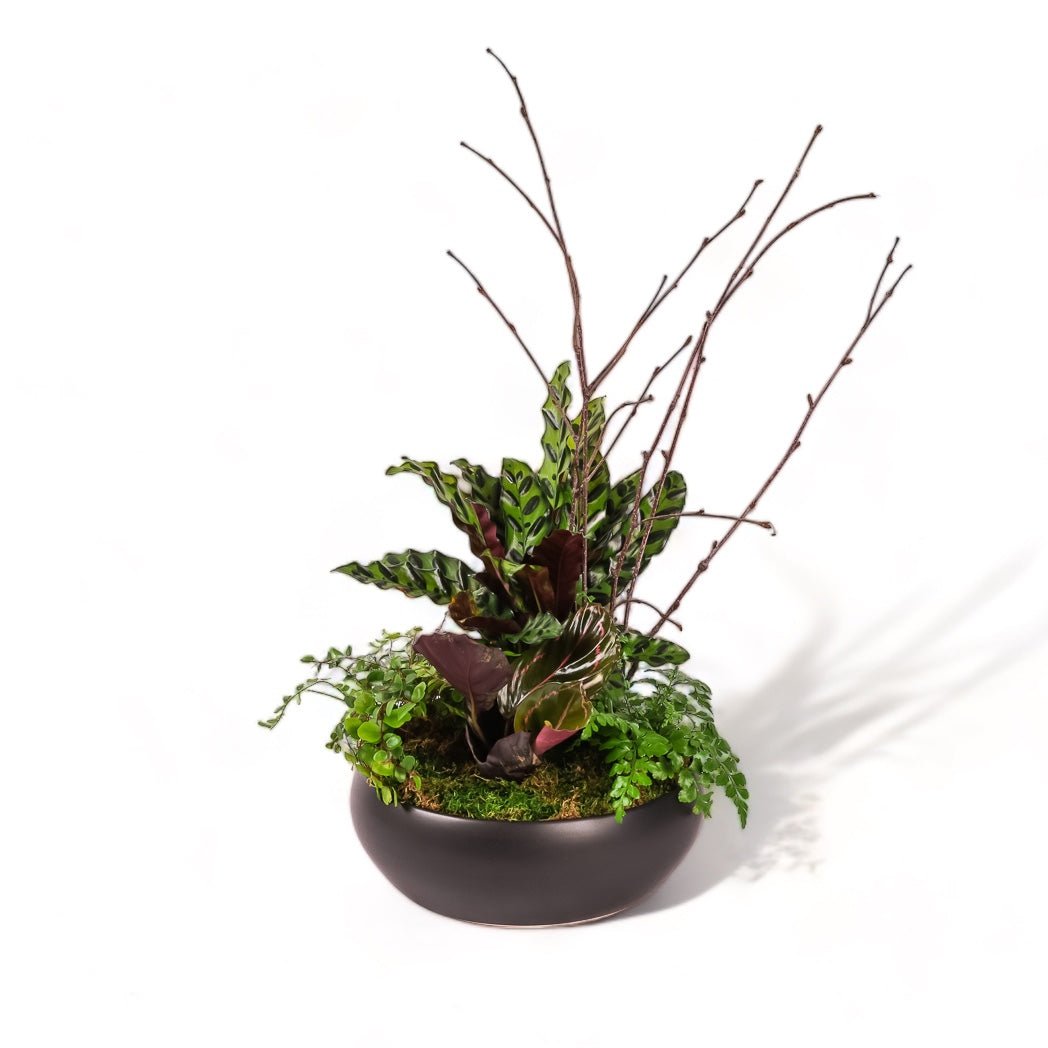 Dark Forest Planting - Green Fresh Florals + Plants