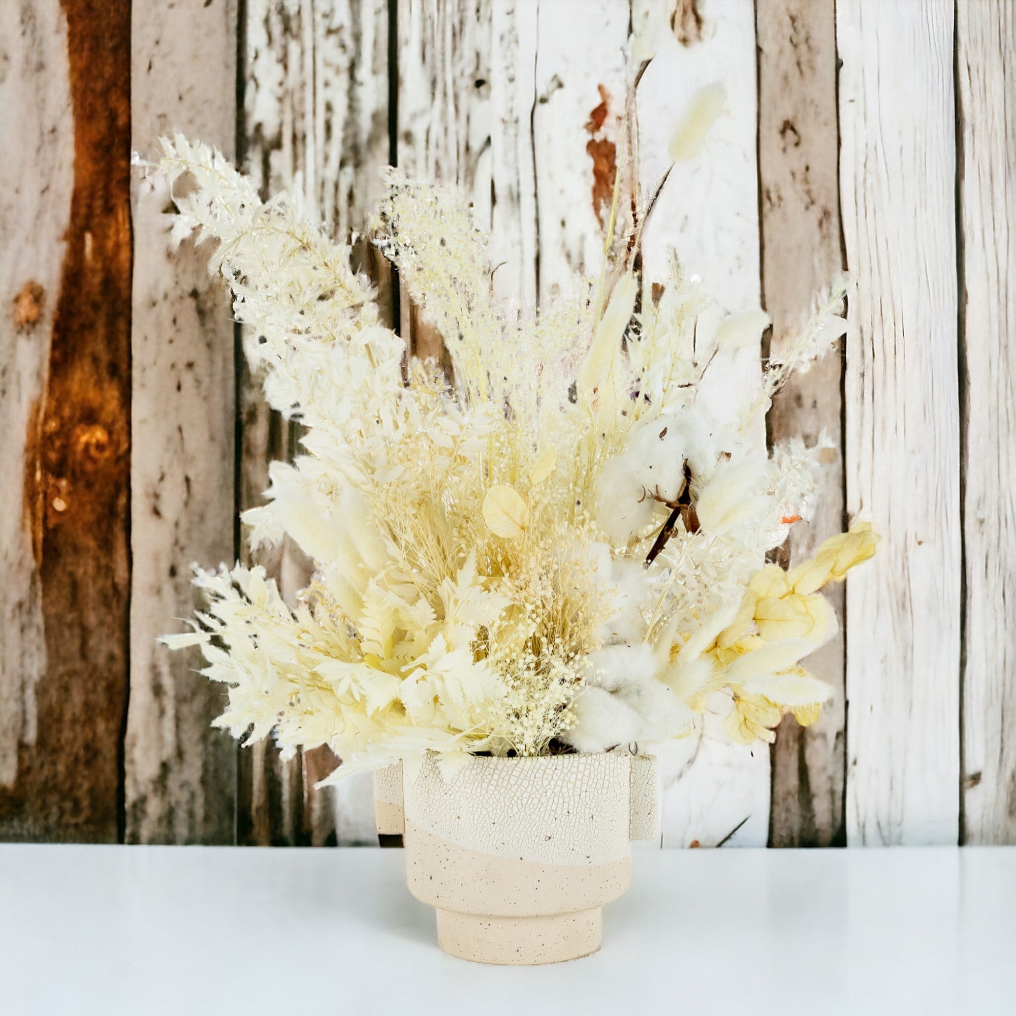 Desert Cloud Dried Floral - Green Fresh Florals + Plants