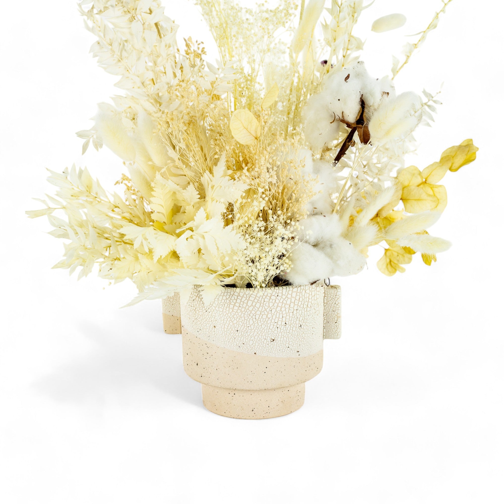 Desert Cloud Dried Floral - Green Fresh Florals + Plants