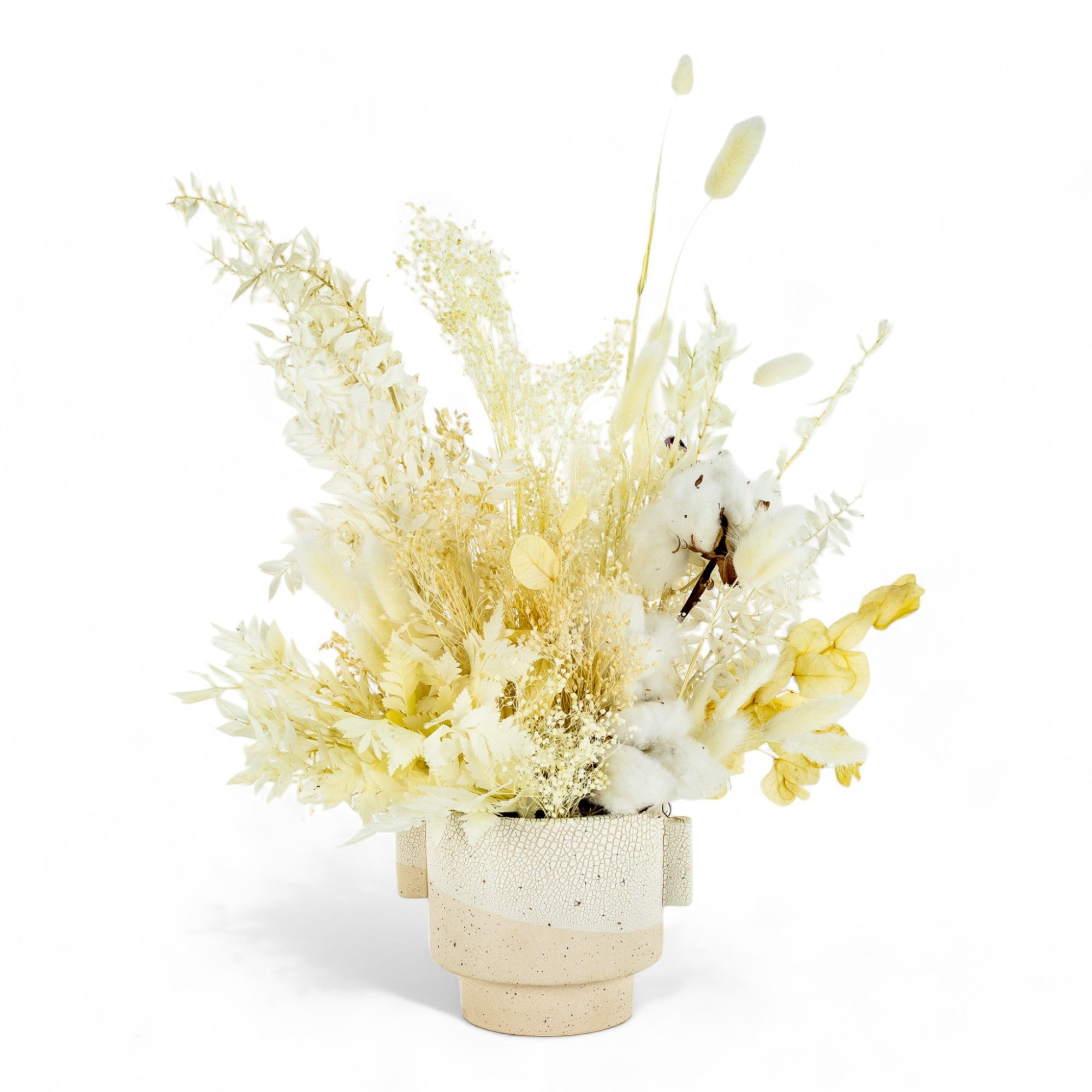 Desert Cloud Dried Floral - Green Fresh Florals + Plants