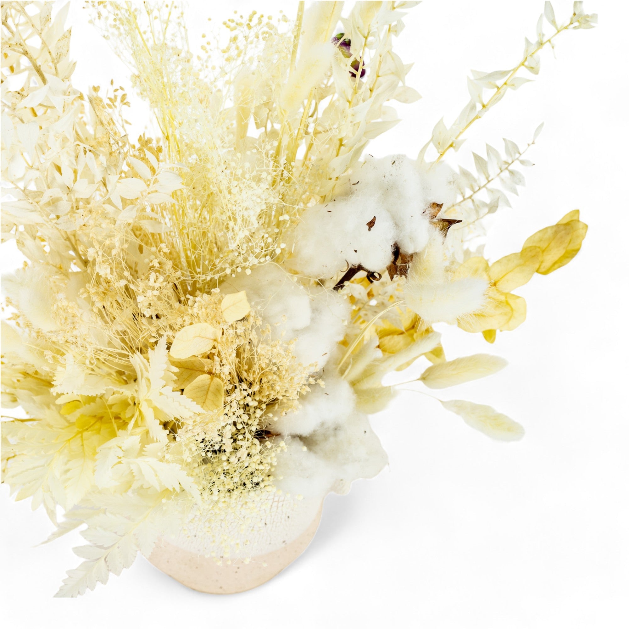 Desert Cloud Dried Floral - Green Fresh Florals + Plants