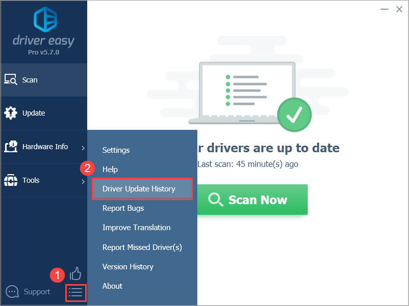 Driver Easy Pro Menu Driver Update History