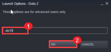 change launch options for Dota 2 to fix the error Change Rendering API