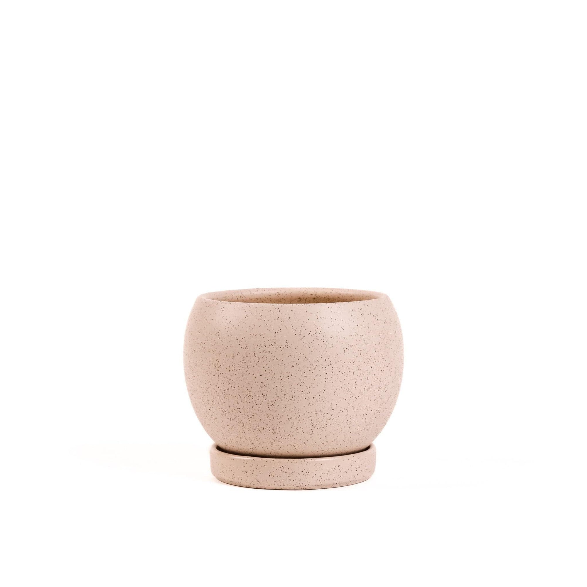 Gemstone Bollé Pot - Green Fresh Florals + Plants