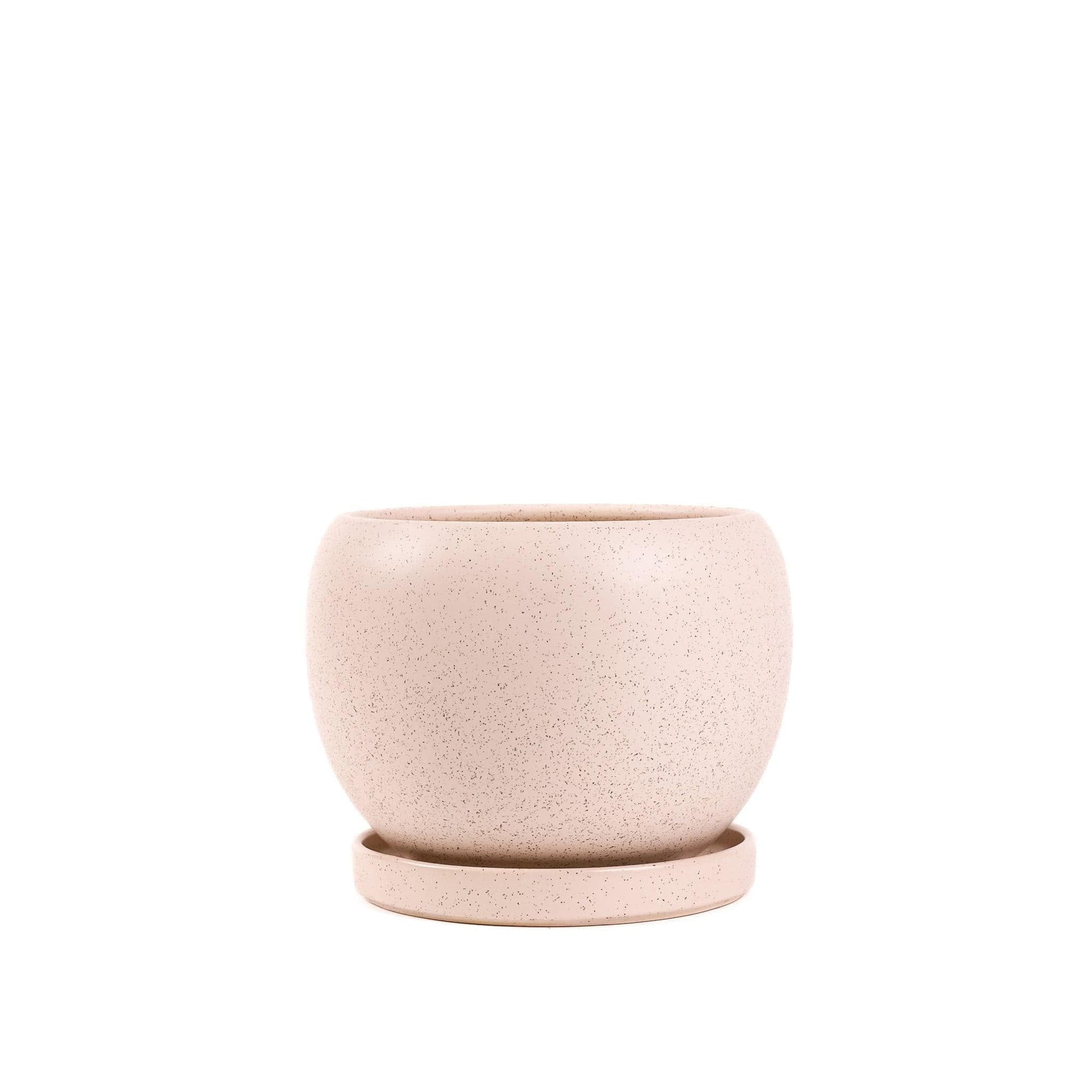 Gemstone Bollé Pot - Green Fresh Florals + Plants