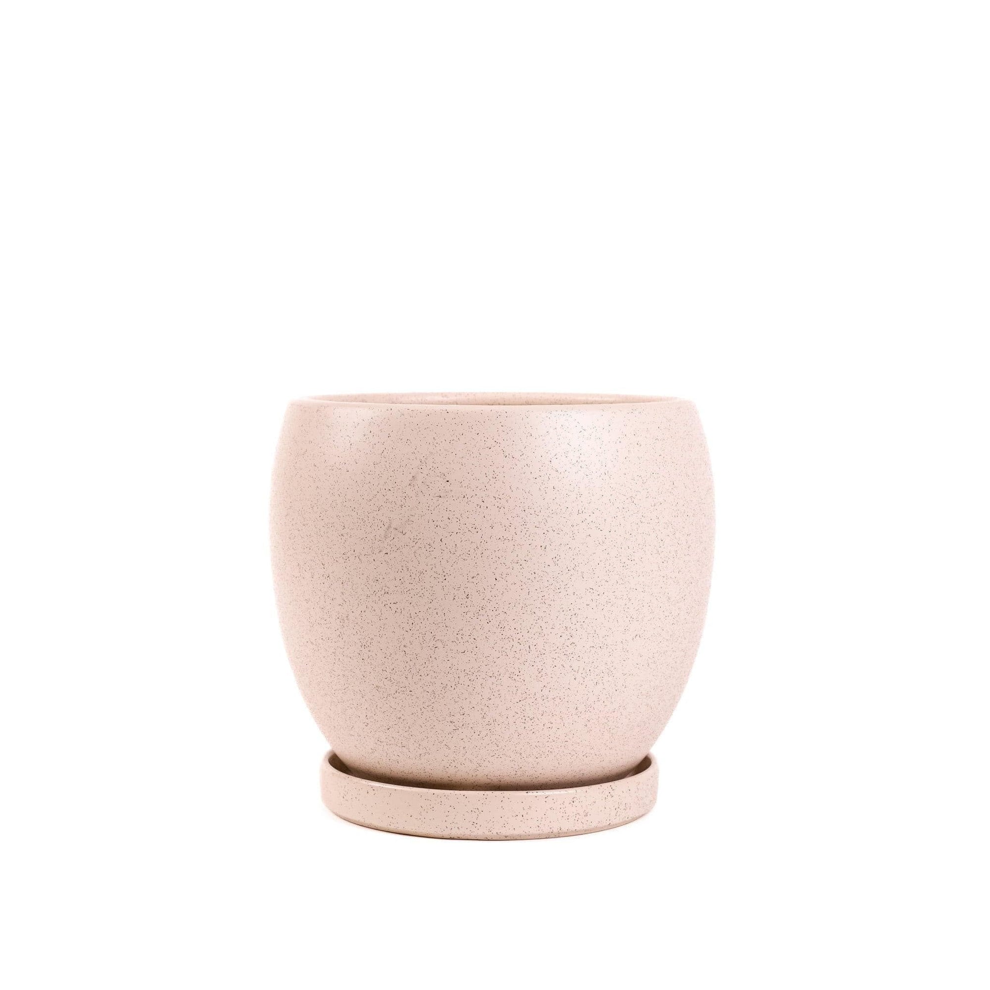 Gemstone Bollé Pot - Green Fresh Florals + Plants