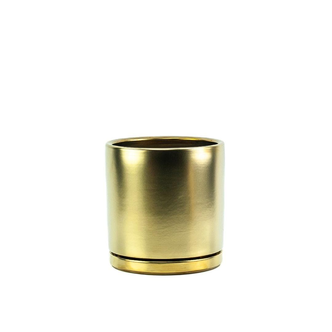 Gold Gemstone Cylinder - Green Fresh Florals + Plants