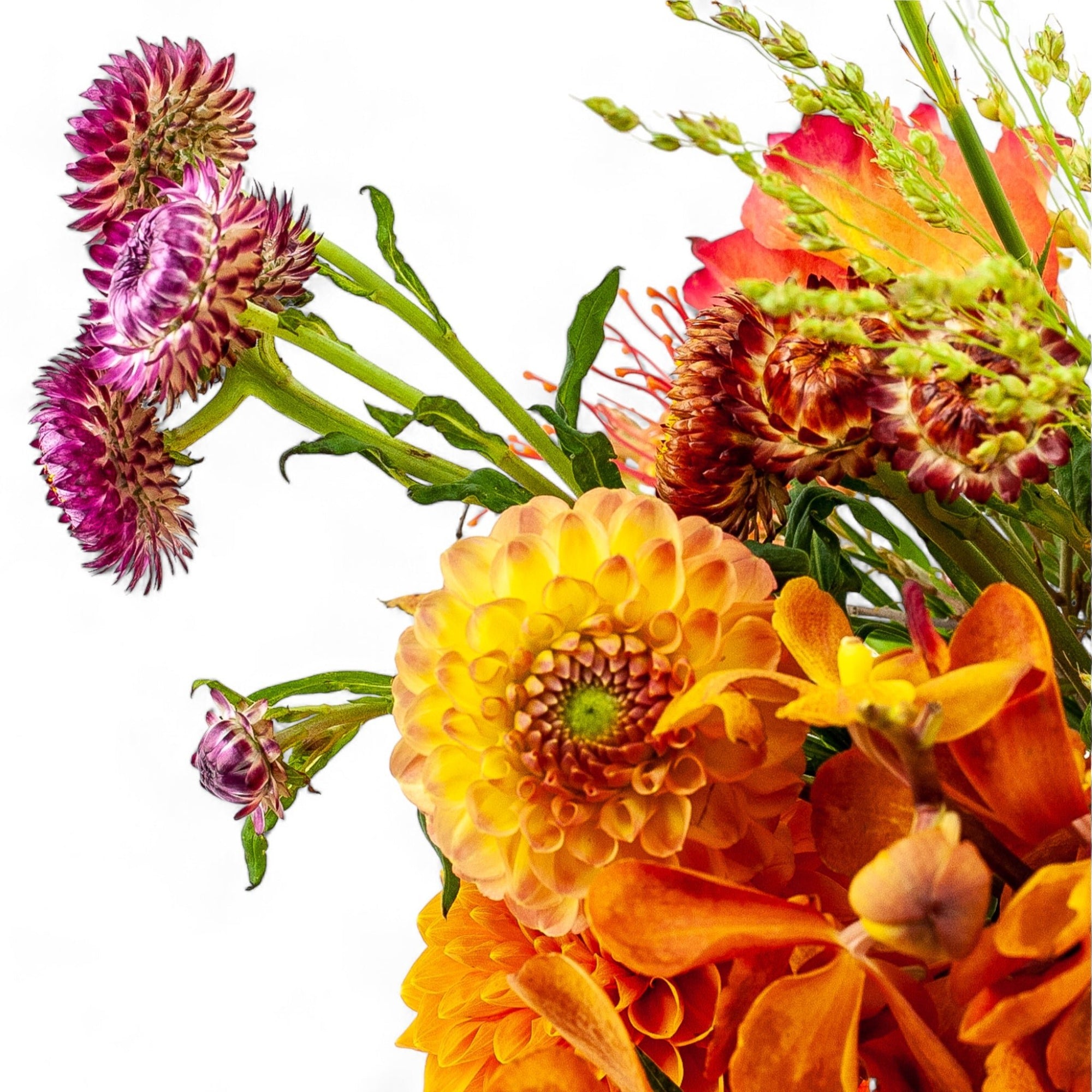 Golden Orange Celebration Floral - Green Fresh Florals + Plants