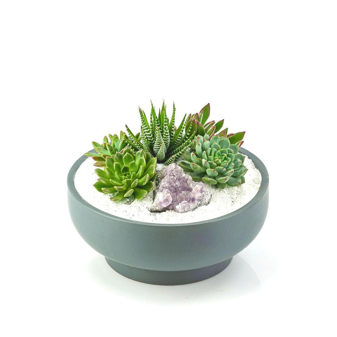 Granite Crystal Succulent Garden - Green Fresh Florals + Plants