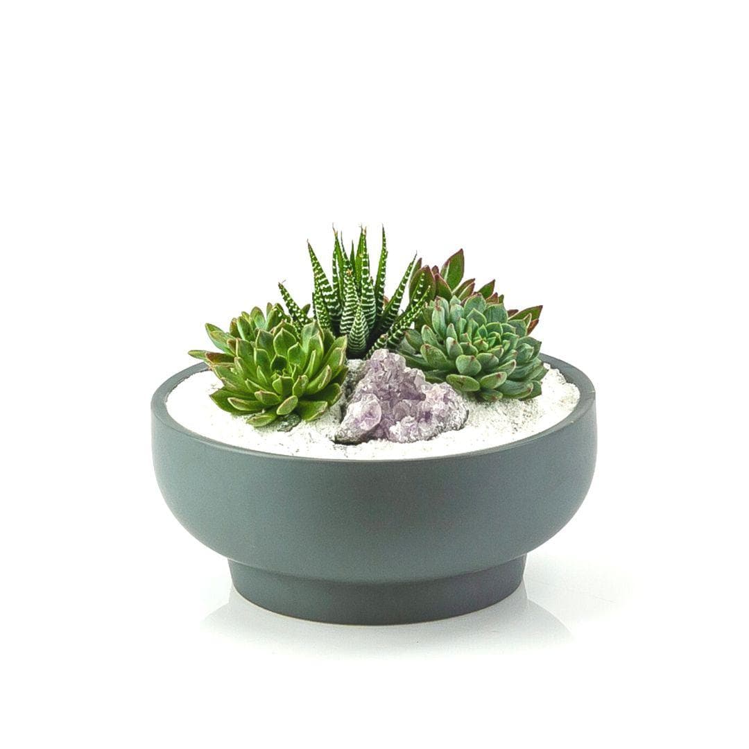 Granite Crystal Succulent Garden - Green Fresh Florals + Plants