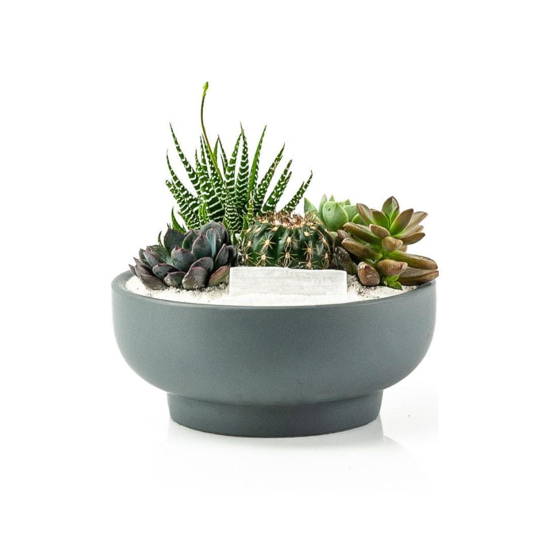 Granite Crystal Succulent Garden - Green Fresh Florals + Plants