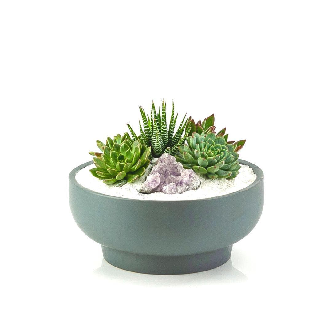 Granite Crystal Succulent Garden - Green Fresh Florals + Plants