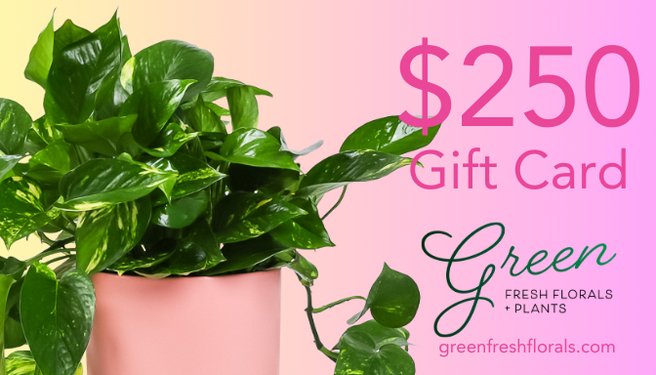 Green Gift Card - Green Fresh Florals + Plants