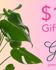 Green Gift Card - Green Fresh Florals + Plants