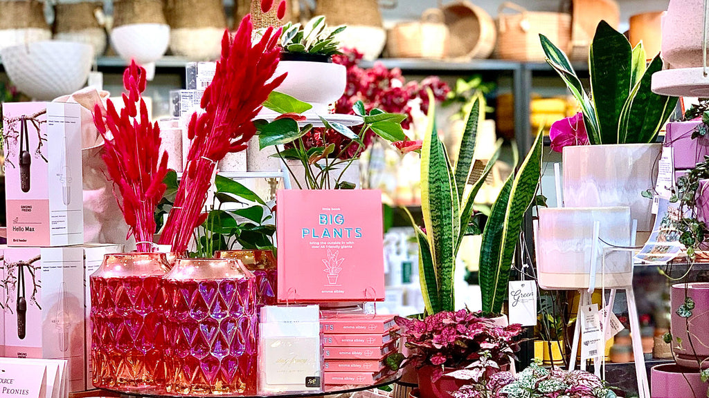 Interior image of Green Fresh Florals + Plants Hillcrest flower and plant shop