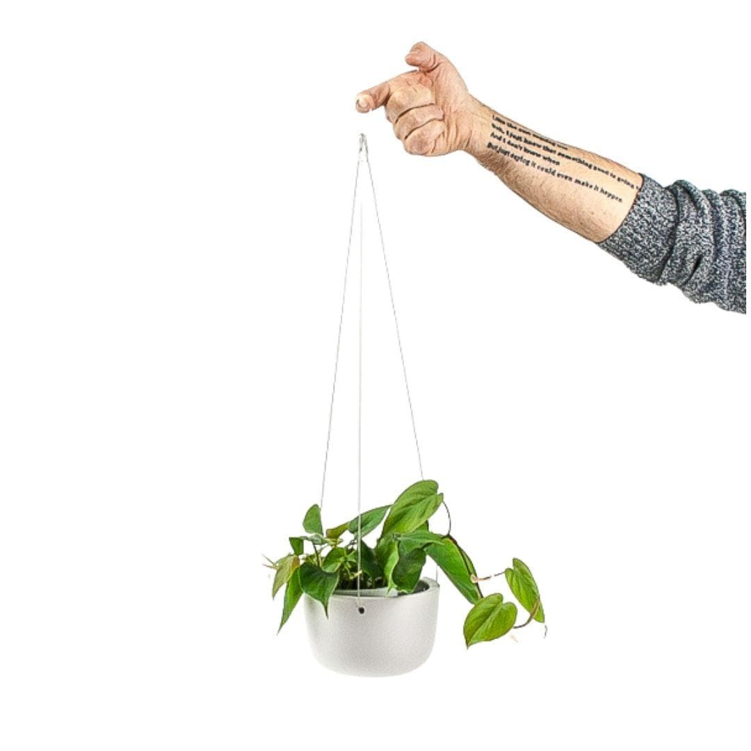 Hanging 6" Ceramic Planter - Green Fresh Florals + Plants